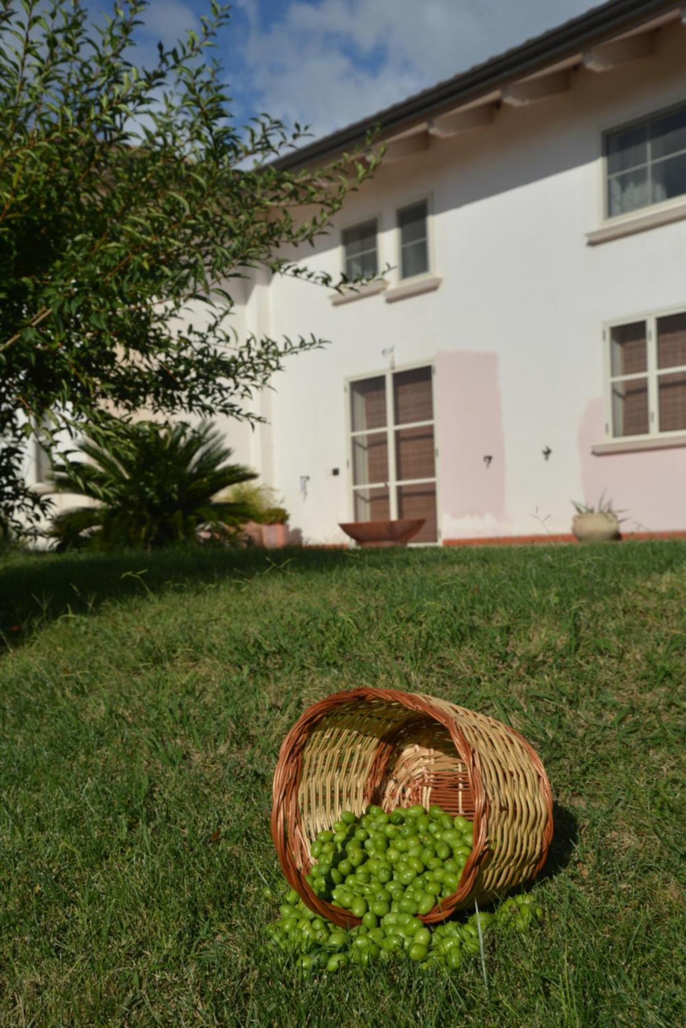 B&B Macchia D'Olmo Capaccio ภายนอก รูปภาพ