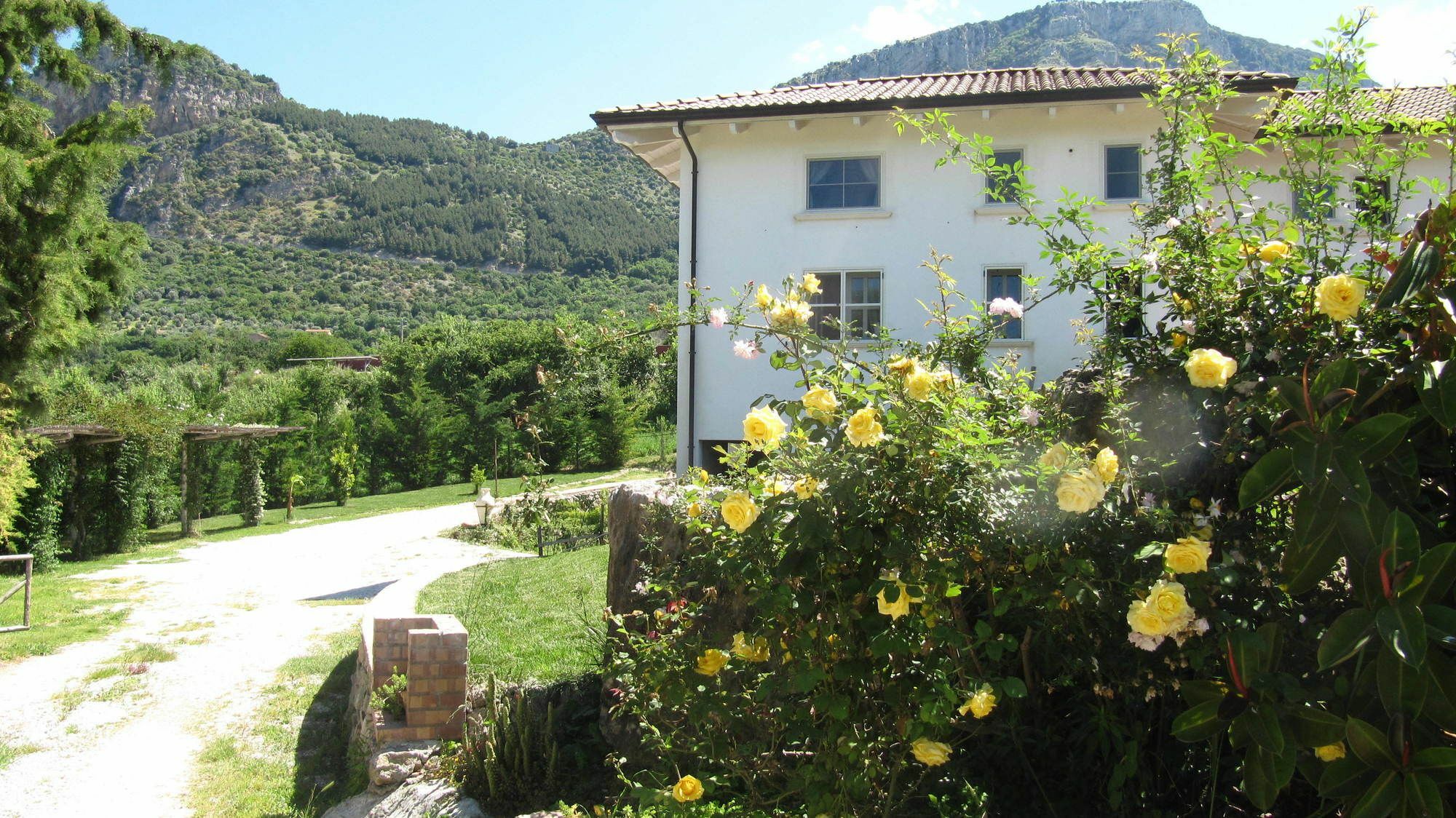 B&B Macchia D'Olmo Capaccio ภายนอก รูปภาพ