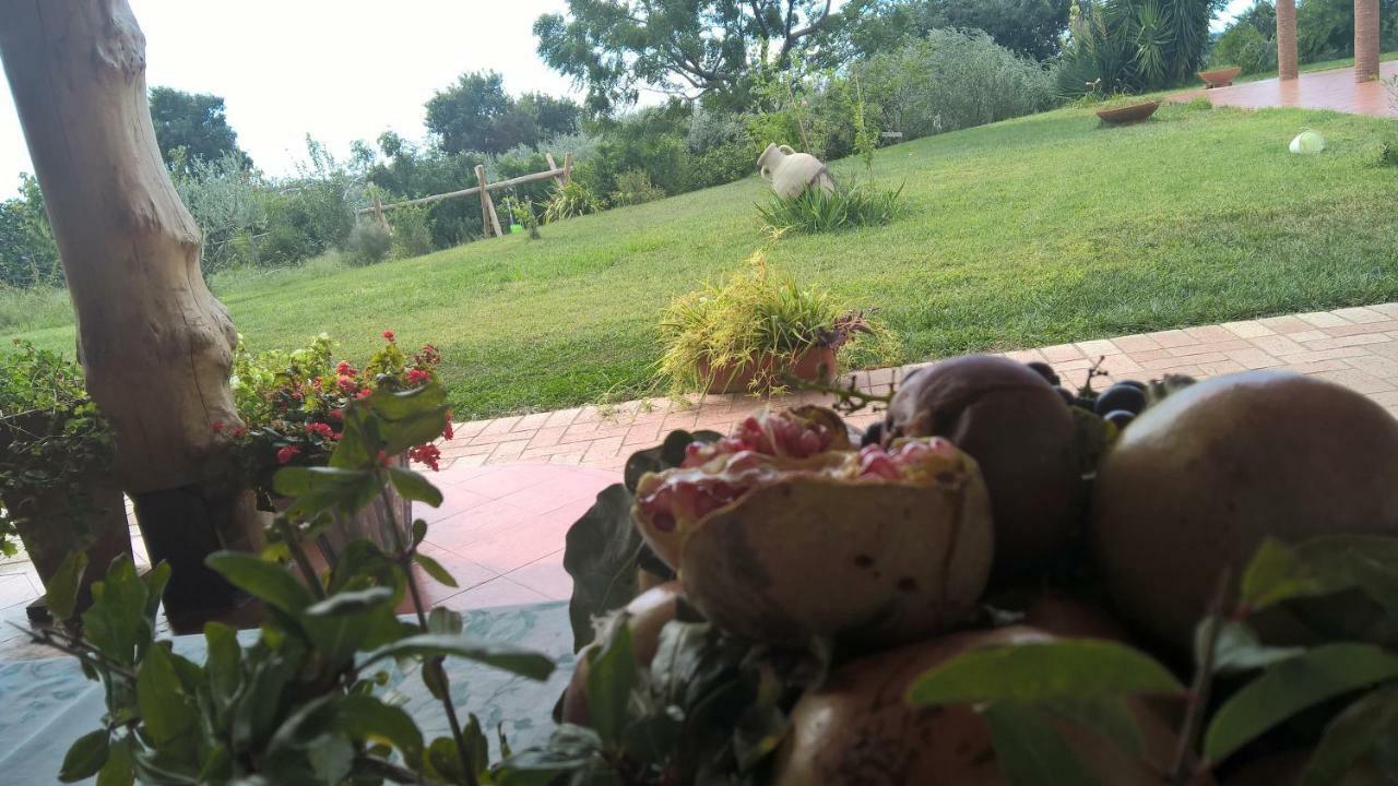 B&B Macchia D'Olmo Capaccio ภายนอก รูปภาพ