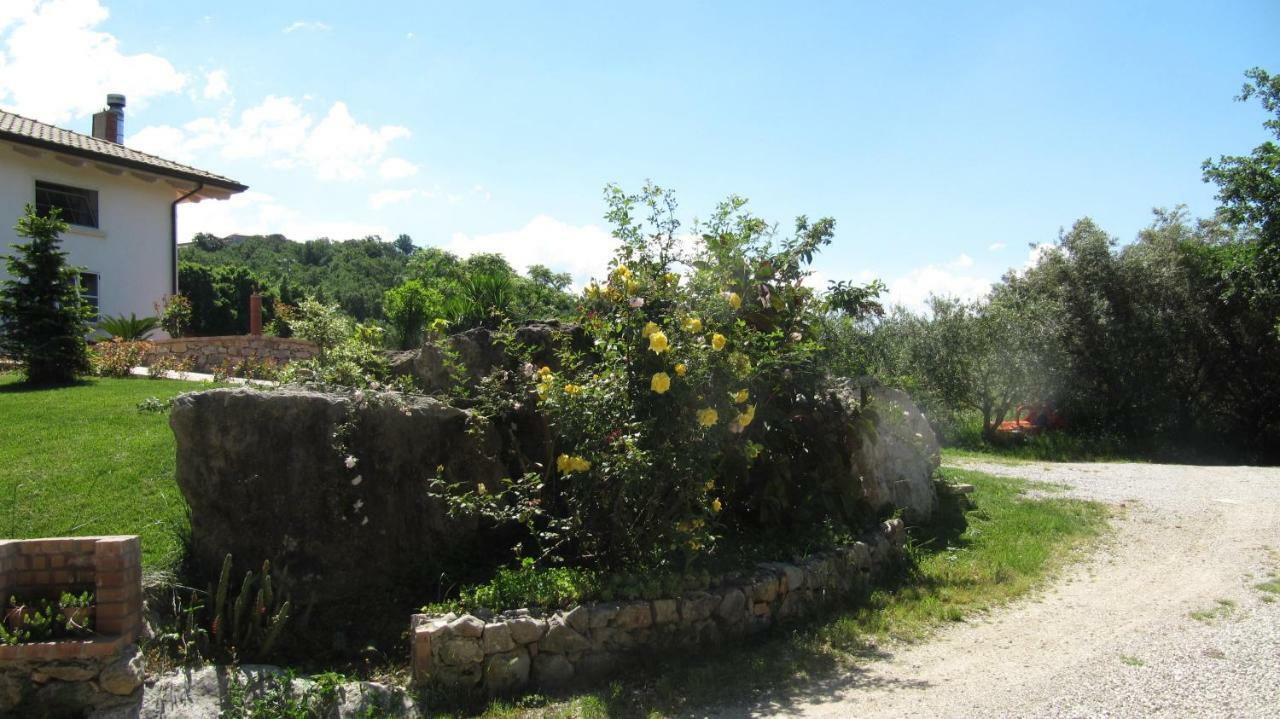 B&B Macchia D'Olmo Capaccio ภายนอก รูปภาพ