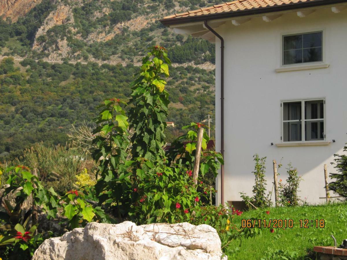 B&B Macchia D'Olmo Capaccio ภายนอก รูปภาพ