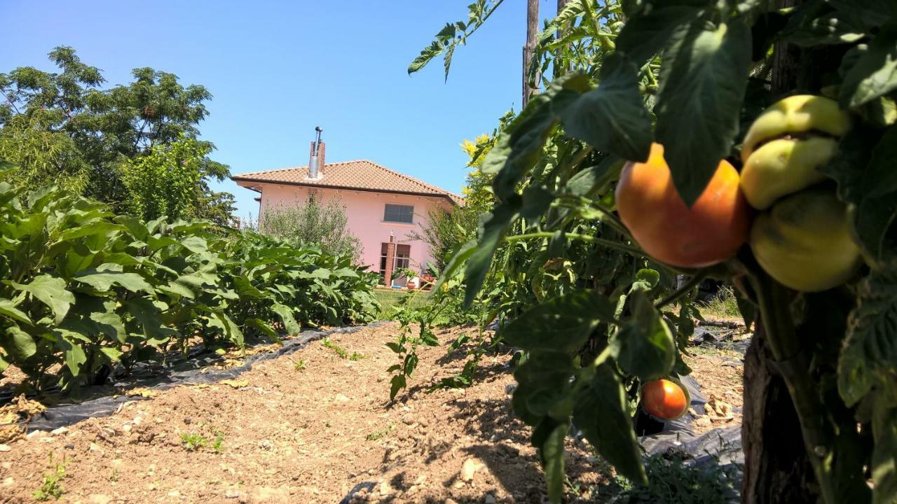 B&B Macchia D'Olmo Capaccio ภายนอก รูปภาพ
