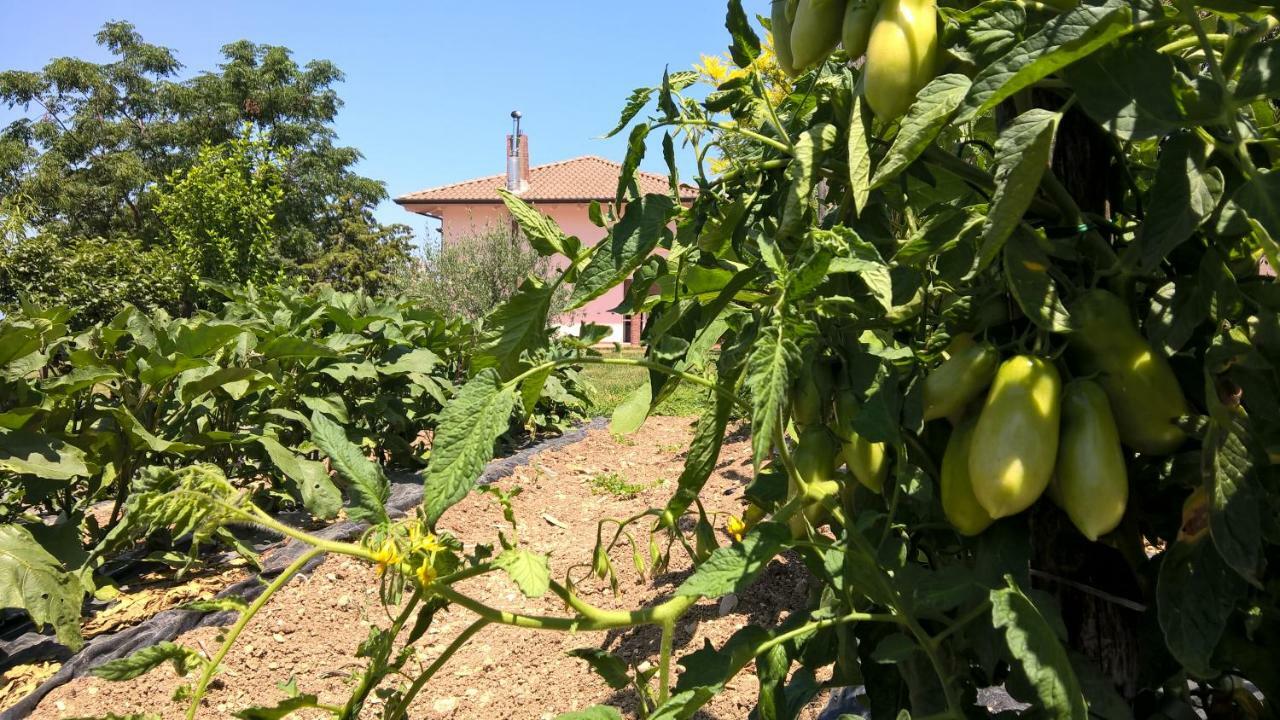 B&B Macchia D'Olmo Capaccio ภายนอก รูปภาพ