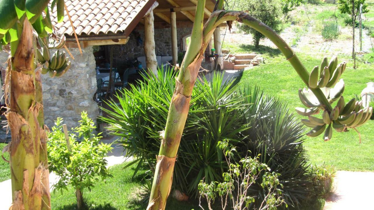 B&B Macchia D'Olmo Capaccio ภายนอก รูปภาพ