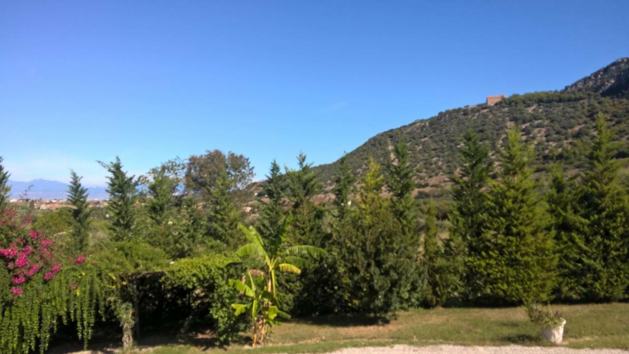 B&B Macchia D'Olmo Capaccio ภายนอก รูปภาพ