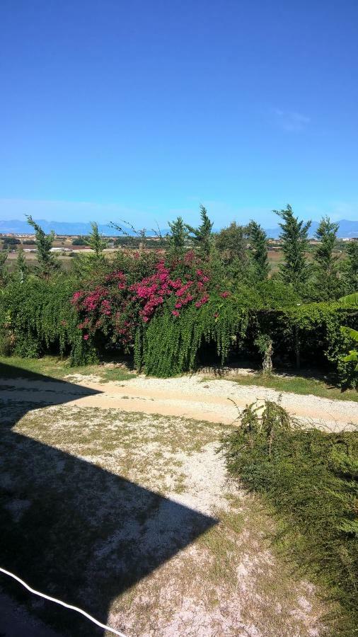 B&B Macchia D'Olmo Capaccio ภายนอก รูปภาพ